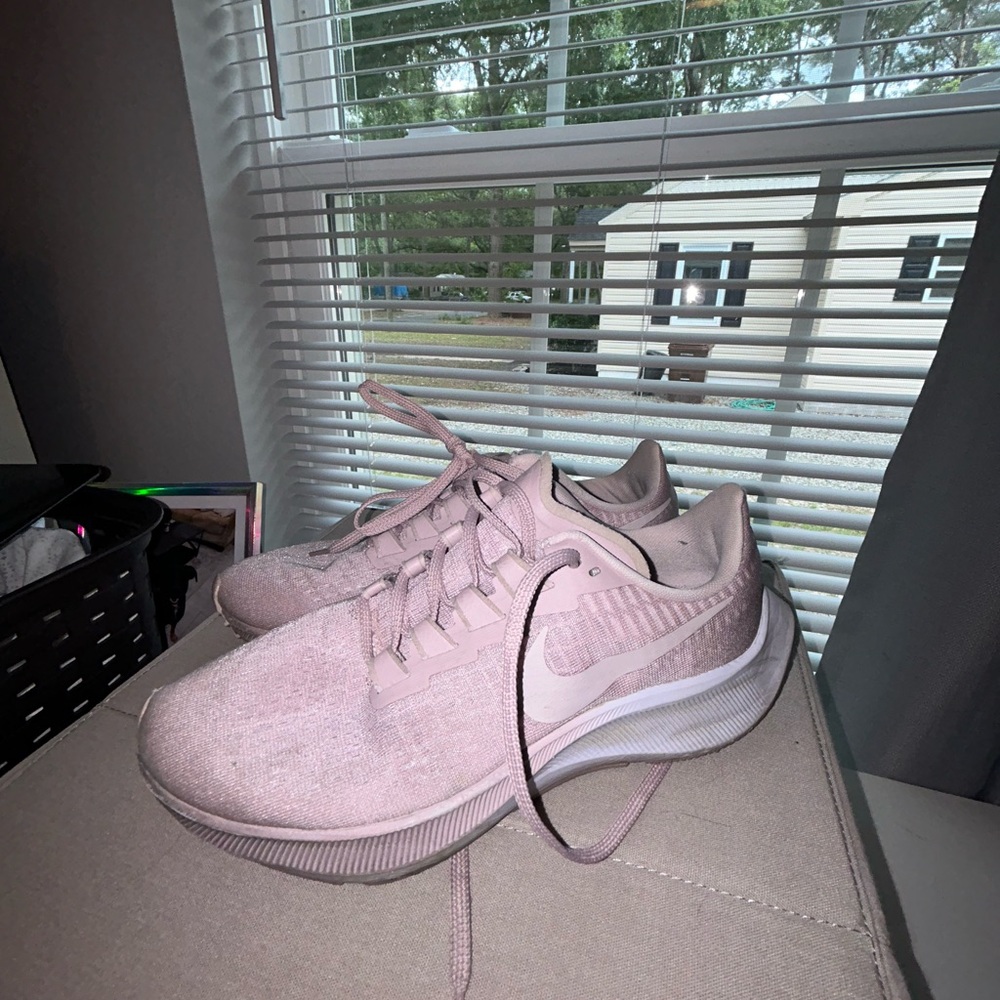 Nike Pegasus